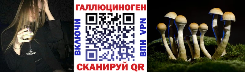 Галлюциногенные грибы Magic Shrooms  Моршанск 